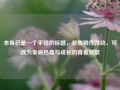 本身已是一个不错的标题，若需稍作改动，可改为奏响热血与成长的青春赞歌