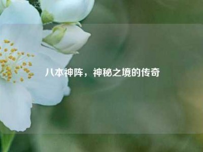 八本神阵,神秘之境的传奇