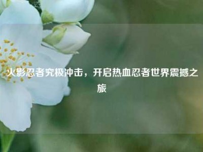 火影忍者究极冲击，开启热血忍者世界震撼之旅