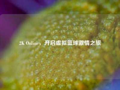 2K Online，开启虚拟篮球激情之旅