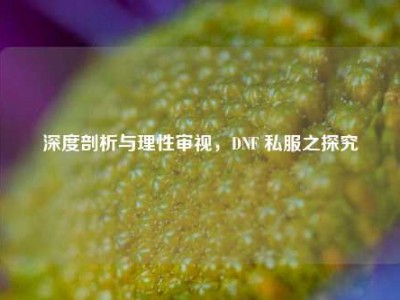 深度剖析与理性审视,DNF 私服之探究