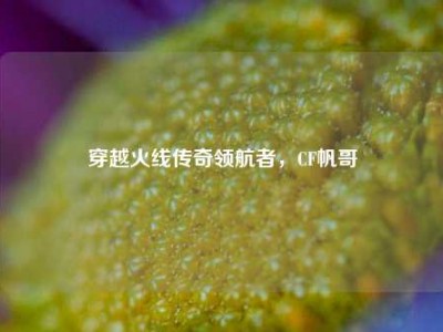 穿越火线传奇领航者，CF帆哥