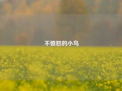 不愤怒的小鸟
