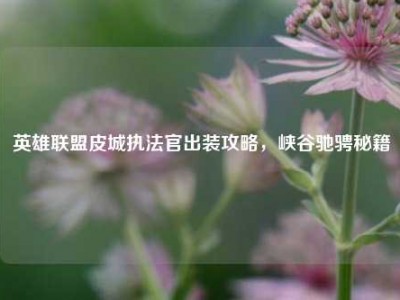 英雄联盟皮城执法官出装攻略，峡谷驰骋秘籍