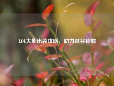 LOL大熊出装攻略，助力峡谷称霸