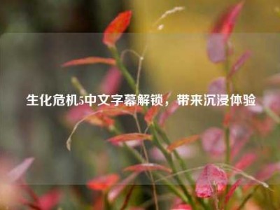 生化危机5中文字幕解锁，带来沉浸体验