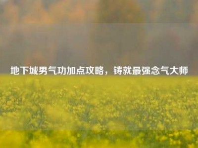 地下城男气功加点攻略,铸就最强念气大师