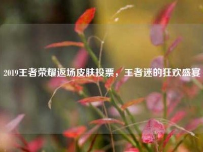 2019王者荣耀返场皮肤投票，王者迷的狂欢盛宴