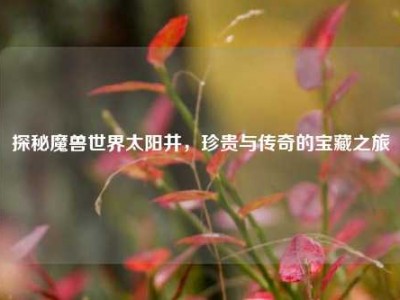 探秘魔兽世界太阳井,珍贵与传奇的宝藏之旅