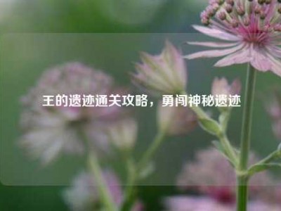 王的遗迹通关攻略,勇闯神秘遗迹