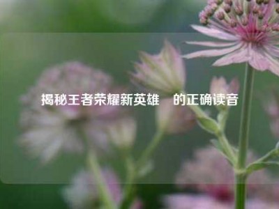 揭秘王者荣耀新英雄暃的正确读音