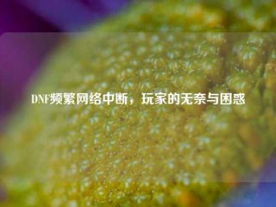 DNF频繁网络中断，玩家的无奈与困惑