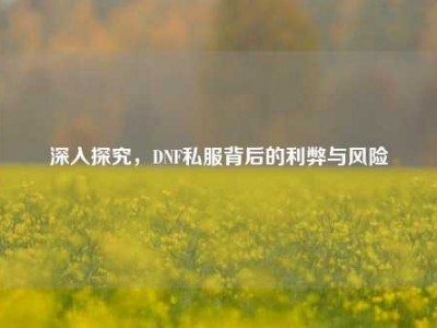 深入探究，DNF私服背后的利弊与风险