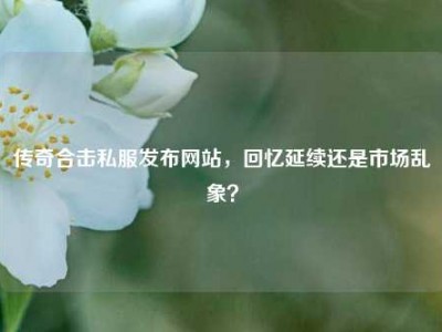 传奇合击私服发布网站，回忆延续还是市场乱象？