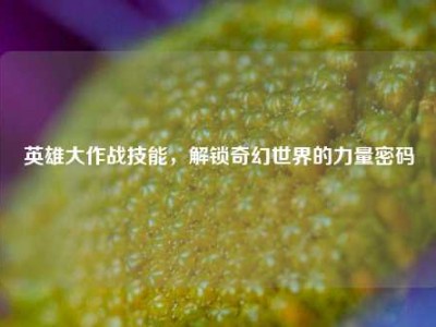 英雄大作战技能,解锁奇幻世界的力量密码