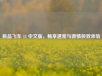 极品飞车 11 中文版，畅享速度与激情极致体验