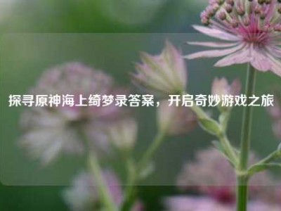 探寻原神海上绮梦录答案，开启奇妙游戏之旅