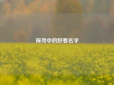 探寻中的好看名字