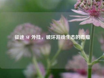 征途 SF 外挂,破坏游戏生态的毒瘤