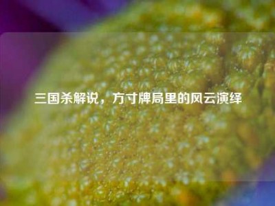 三国杀解说，方寸牌局里的风云演绎