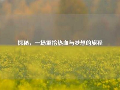 探秘，一场重拾热血与梦想的旅程