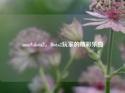 uuu9.dota2，Dota2玩家的精彩乐园