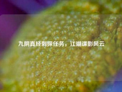 九阴真经刺探任务,江湖谍影风云