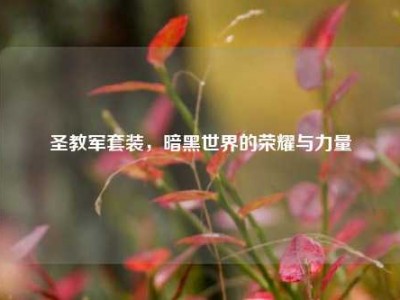 圣教军套装,暗黑世界的荣耀与力量