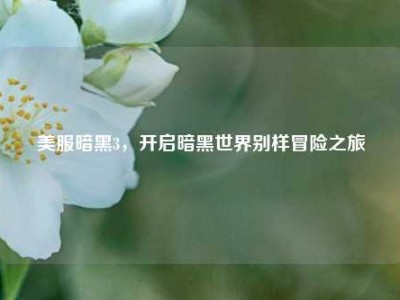 美服暗黑3,开启暗黑世界别样冒险之旅