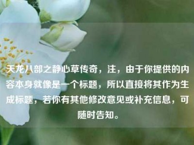 天龙八部之静心草传奇,注,由于你提供的内容本身就像是一个标题,所以直接将其作为生成标题,若你有其他修改意见或补充信息,可随时告知。