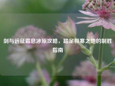剑与远征霜息冰原攻略，踏足极寒之地的制胜指南