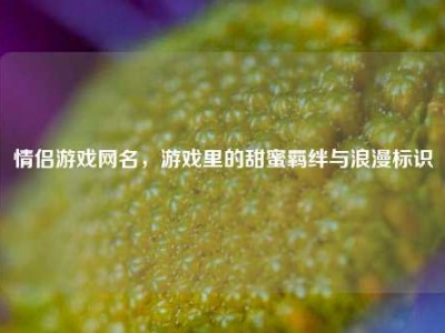 情侣游戏网名，游戏里的甜蜜羁绊与浪漫标识