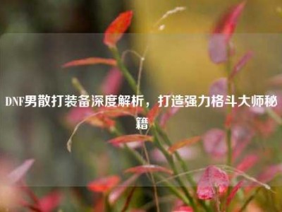 DNF男散打装备深度解析，打造强力格斗大师秘籍