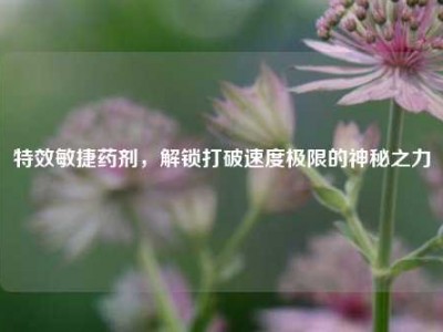 特效敏捷药剂，解锁打破速度极限的神秘之力