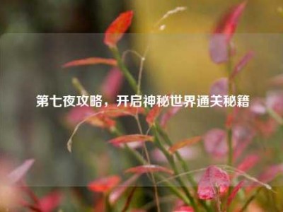 第七夜攻略,开启神秘世界通关秘籍
