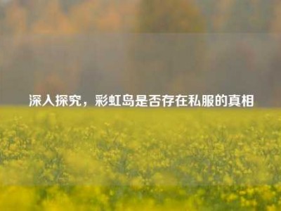 深入探究,彩虹岛是否存在私服的真相