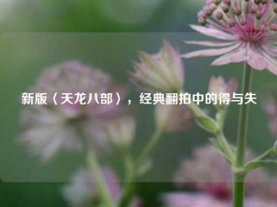 新版〈天龙八部〉,经典翻拍中的得与失