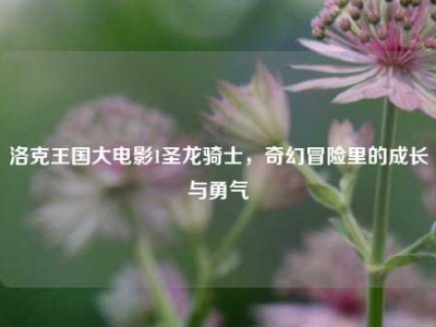 洛克王国大电影1圣龙骑士，奇幻冒险里的成长与勇气