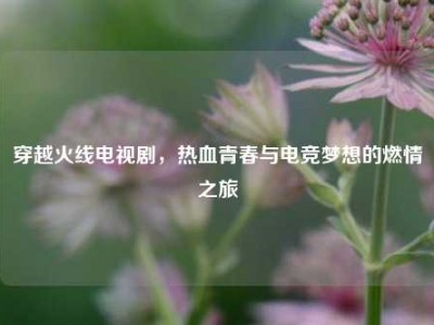 穿越火线电视剧，热血青春与电竞梦想的燃情之旅