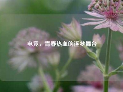 电竞,青春热血的逐梦舞台