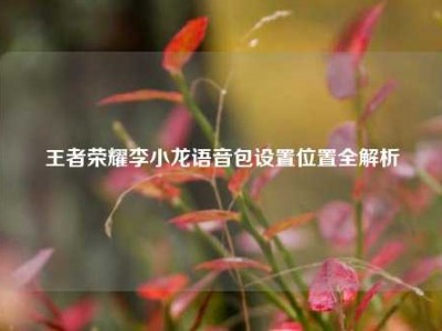 王者荣耀李小龙语音包设置位置全解析