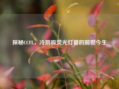 探秘CCFL，冷阴极荧光灯管的前世今生