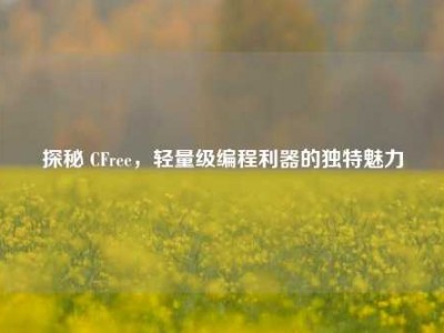 探秘 CFree，轻量级编程利器的独特魅力