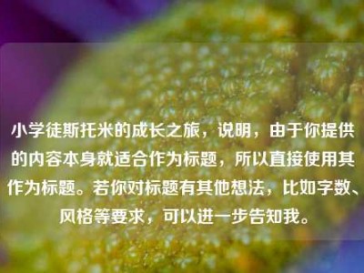 小学徒斯托米的成长之旅,说明,由于你提供的内容本身就适合作为标题,所以直接使用其作为标题。若你对标题有其他想法,比如字数、风格等要求,可以进一步告知我。
