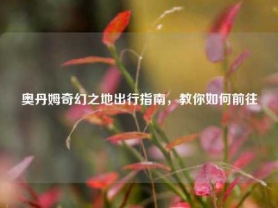奥丹姆奇幻之地出行指南,教你如何前往