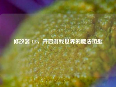 修改器 CE，开启游戏世界的魔法钥匙