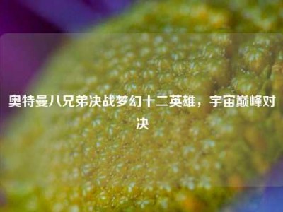 奥特曼八兄弟决战梦幻十二英雄，宇宙巅峰对决