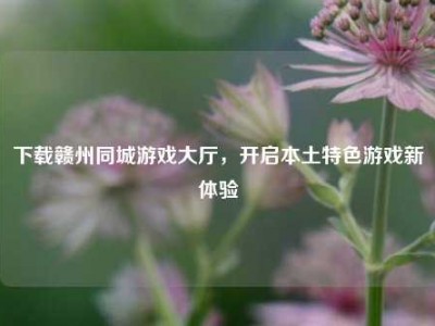 下载赣州同城游戏大厅，开启本土特色游戏新体验