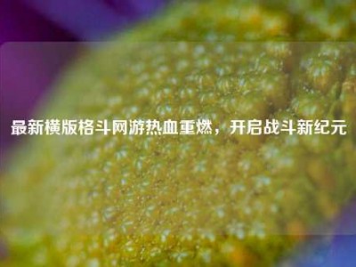 最新横版格斗网游热血重燃，开启战斗新纪元
