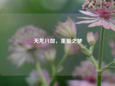 天龙八部,重聚之梦